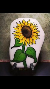 16K views · 505 reactions | These came up in my memories and I thought I'd share them with you! | Rachel's Rocks | Facebook