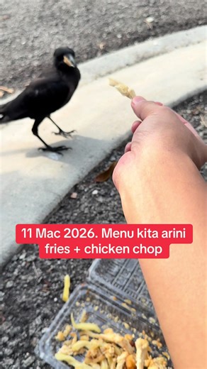 Delicious Menu: Fries and Chicken Chop