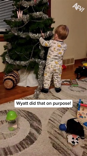 Wyatt showed no remorse... 🤣 #afv #christmas #funny | America's Funniest Home Videos