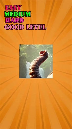 Understanding Brain Rot: An Engaging Quiz Experience