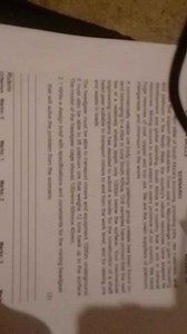 Write a design brief with specifications and constraints for th... | Filo