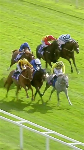 The photo finish that won Trawlerman the Ebor 💙