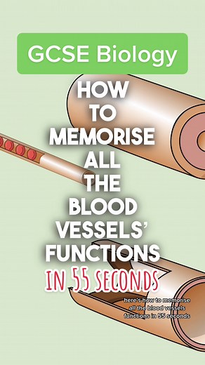 FlashRevisionLab on TikTok