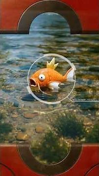 Living Pokédex: Magikarp #0129 | Real Life Pokémon