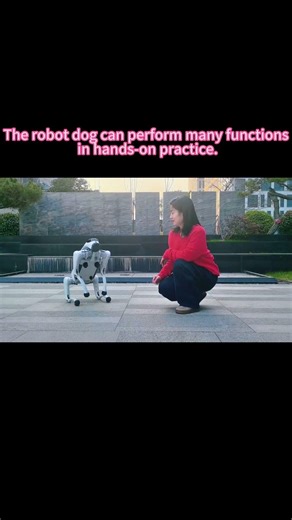 The robot dog can perform many functions in hands-on practice.#robotdog #robot #robotics