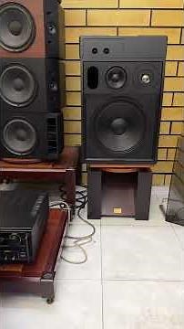 Review of JBL Control 10 speakers, used in the US | Tien Dung Audio Saigon