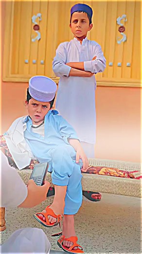 کوتوں سے بات نہ کرنے کی اہمیت