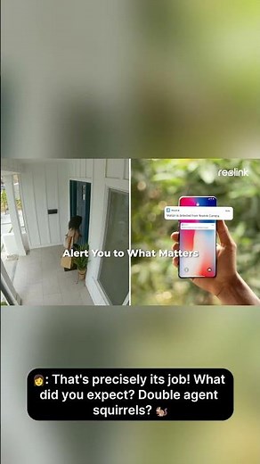 Reolink RLK8-420D4 5MP Security System REVIEW – Is This the BEST 8CH Surveillance Kit