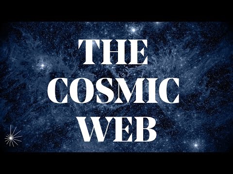 The Cosmic Web | Vera Gluscevic