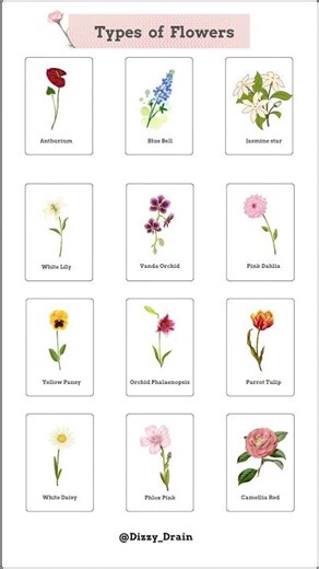 Types / Variations of Flowers🌸 | Education learning