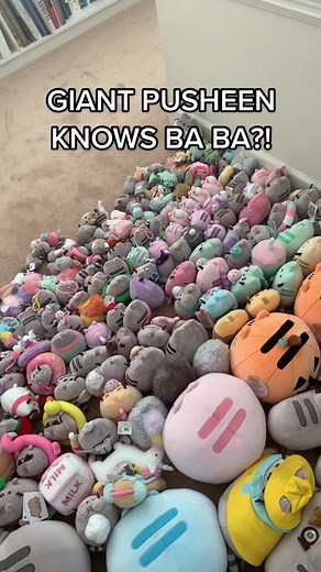 Giant Pusheen Speaking Ba Ba | Cute Plush Toy Conversations