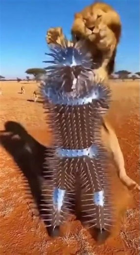 Indestructible Spiked Armor vs Lion Pride #Shorts