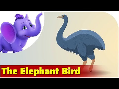 The Elephant Bird - Prehistoric Animal Songs