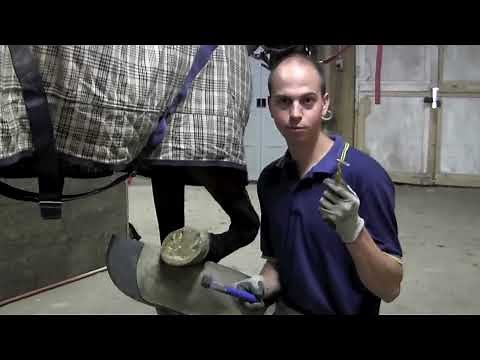 How to Properly Pick Out a Horse's Hoof