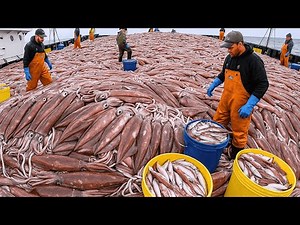 👉 “How the Japanese Harvest Millions of Squid and Bluefin Tuna”