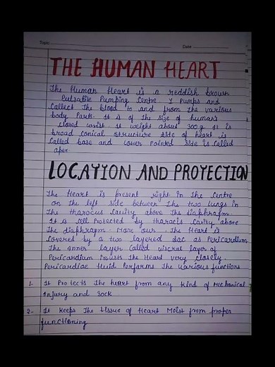 Biology project file HEART ❤️ class 11