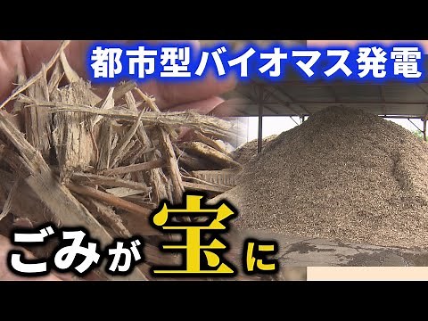 都市型バイオマス発電 廃木材を「木質チップ」に加工 1万世帯分の電力を供給【LBS大阪発】