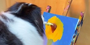 This Aussie Can Paint Way Better Than We Can