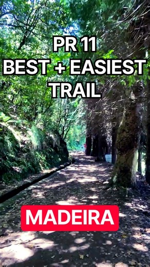 Vereda dos Balcões (PR 11) – A Scenic Walk Through the Laurissilva | Madeira, Portugal