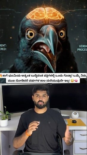 Crow Is Smarter Than You Think! 😳🐦 | Amazing Crow Intelligency #wildlife #shorts #nature
