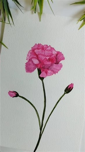Pink Carnation Watercolor Painting #watercolor #flowerpainting #howtopaint #easy #florals #painting