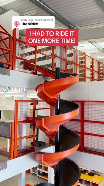 Viggo Venn Slides Down Workwear Express - Britain's Got Talent 2023