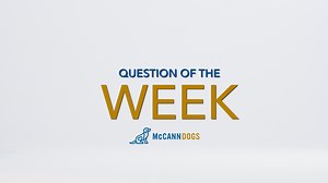 Some dogs don’t love the rain but rain or shine those four-legged family members need to get outside. This week’s question addresses how to manage a fairweather puppy. Got a burning question? Leave it in the comments below! Happy Training! #dogtraining | McCann Professional Dog Trainers | Facebook