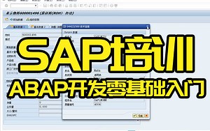 10天教会你SAP ABAP开发 SAP基础教程