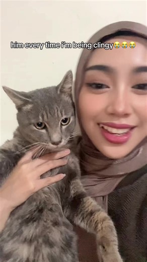 grumpy baby🫠😂 #cat