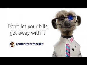 Let AutoSergei keep your money in check