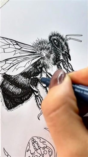 Hyper-realistic bee drawing: The power of ink.
