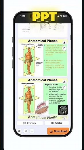 Students’ life-saver 😍 — 2 websites to get ANY notes or books FREE! #studytricks #students