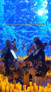 A Candlelight® concert in an aquarium? 🐠✨ Now that's a bucketlist experience you can't miss this spring! Get your tickets: https://bit.ly/SpringCandlelight25 | Candlelight Concerts by Fever