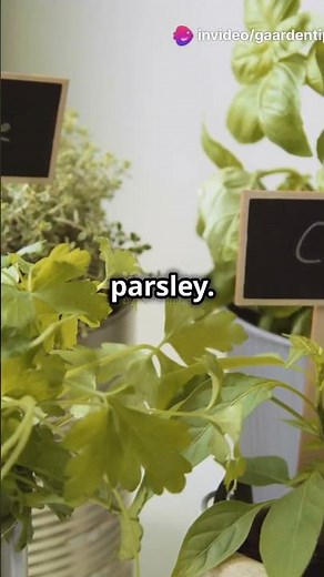 Grow Fresh Herbs Indoors 🌿 Your Ultimate Guide to an Indoor Herb Garden!