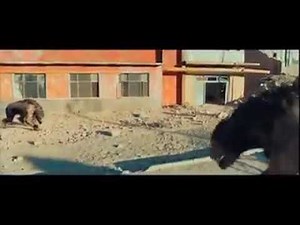 stopping Beast force