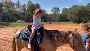 1.2K views · 273 reactions | Weekend pony ride! | Matt Austin | Facebook