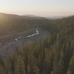 You know what National Forests give us—space to explore, reset, and reconnect. You’ve been part of that. Maybe as a donor, a follower, a volunteer, or a quiet advocate. Now it’s your turn to engage in a new way. The Wilderness Skills Quiz is a 15-question challenge created by the National Forest Foundation. It’s for people like you—outdoor lovers who care about wild places and want to test what they’d do when it counts. ✔️ Navigation ✔️ Survival basics ✔️ Wildlife safety ✔️ Leave No Trace ✔️ For