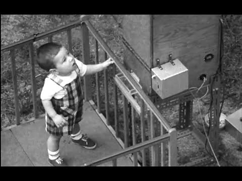 Psychology Study: Baby in a Skinner Box (1960) | Behavior Modification of Toddlers