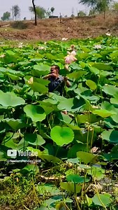 Neelam Pandey on Reels