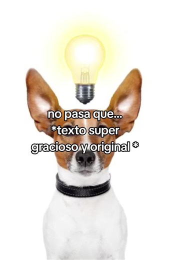 soy gracisoo vale jajajajaja reíros pls #parati #fyp #humor