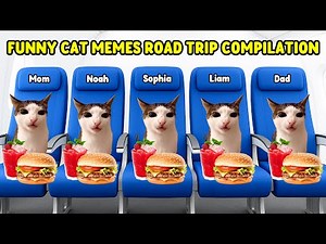 CAT MEMES ROAD TRIP VACATION COMPILATION