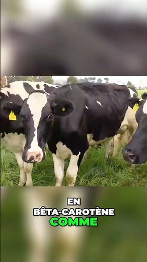 Secrets de Fabrication du Beurre Le Processus en Usine