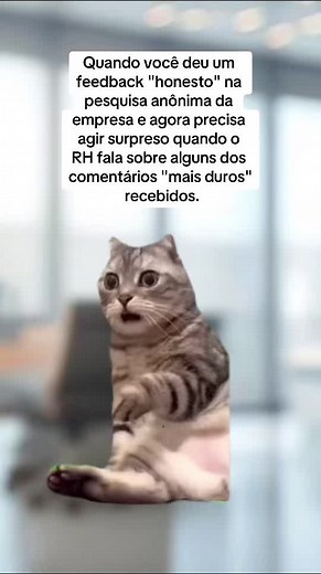 Reagindo a Feedback da Pesquisa Anônima: Memes Engraçados