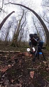 7.8K views · 1.1K reactions | Squirrel Hygiene 101: When dinner leaves you with sticky paws, the tongue becomes the ultimate tool for a thorough post-meal clean-up. | Squirrels by Fotoscenen | Facebook