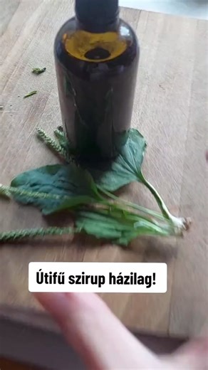 🍃Lándzsás útifű szirup házilag🍃 A lándzsás útifű szirup különösen ajánlott gyermekeknek, mivel számos gyógyszer ízvilágával ellentétben kellemes, édeskés aromával rendelkezik. A szirupot könnyen elkészíthetjük otthon is, ezekre lesz szükség: 3 evőkanál friss vagy 2 evőkanál szárított útifű levél 1 bögre víz 200g méz A vizet felforraljuk, beletesszük az útifű leveleket majd hagyjuk kihűlni. Leszűrjük belőle a leveleket, majd újra forralni kezdjük, míg a felére sűrűsödik, tehát elpárolog a folya