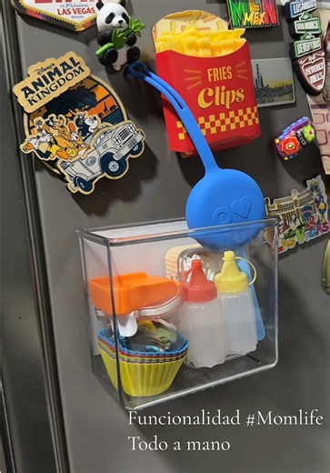 Find funcional por $4.08 Organización #Hogar #Loncheras #Panama #Fyi #Momlife 🦖