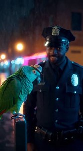 Cop Why are you staring Parrot Reading confusion | Funny Parrot