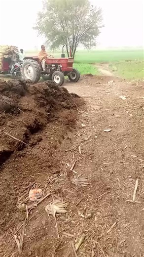 Mobile Legends Tips for Creating Funny Content