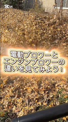 【電動ブロワーとエンジンブロワーの違い】風量を比較してみたよ！#晴海物流倉庫株式会社 #おすすめ #ブロワー #エンジン #電動