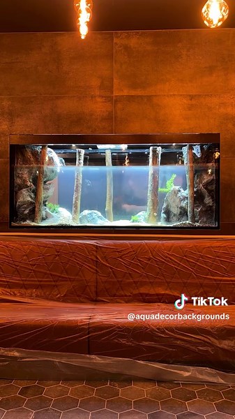 Design Tips for Aquarium Setup and Decorations